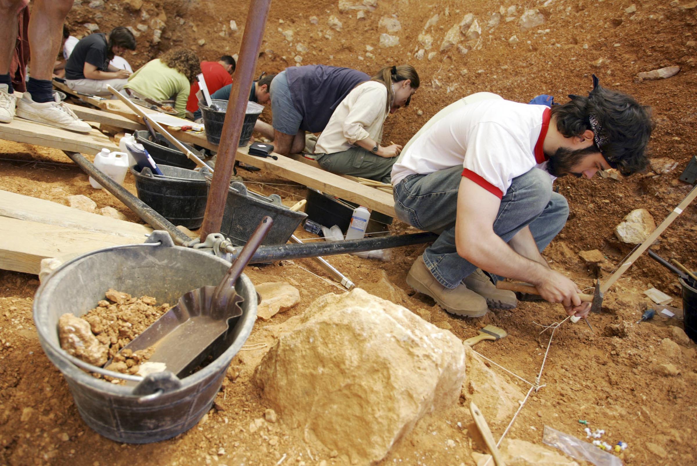 Yacimientos De Atapuerca Excma Diputacion Provincial De Burgos