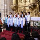 Coro Parroquial San Juan Bautista de Cilleruelo de Abajo