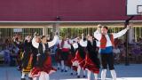 Muestra Bailes Provinciales 2010 - Salas de los Infantes